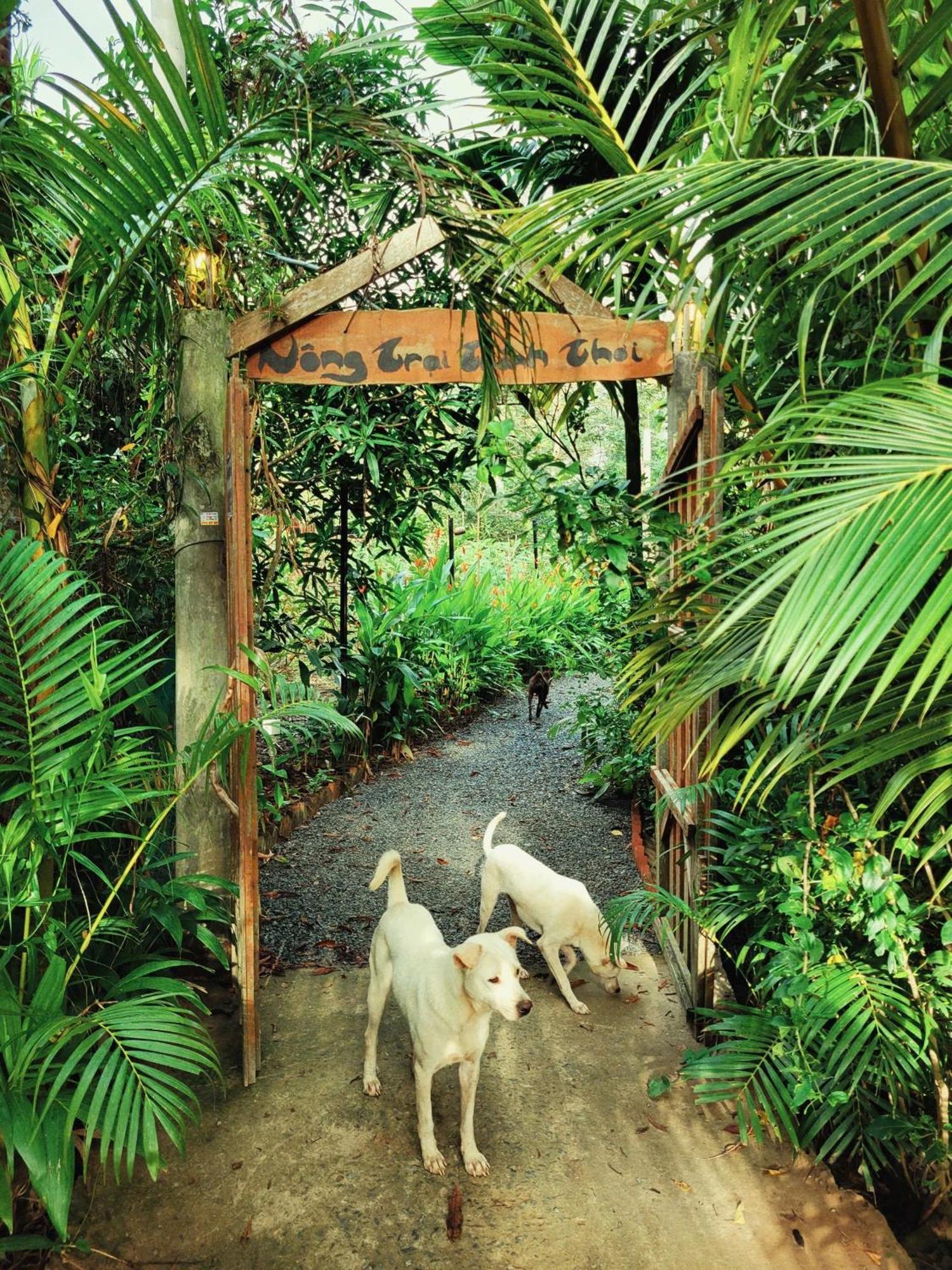 Nong Trai Thanh Thoi Ben Tre Exterior photo